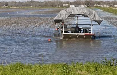 Crawfish Concerns: White Spot Virus Hitting Louisiana Ponds, Threatening Industry
